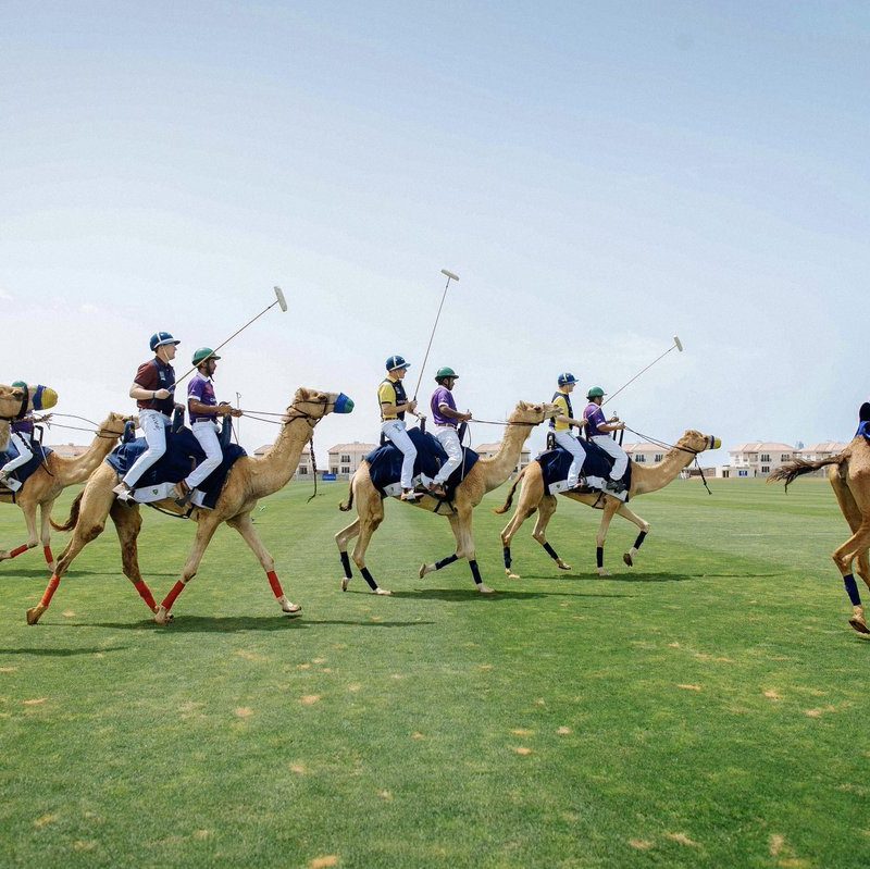 CAMEL POLO