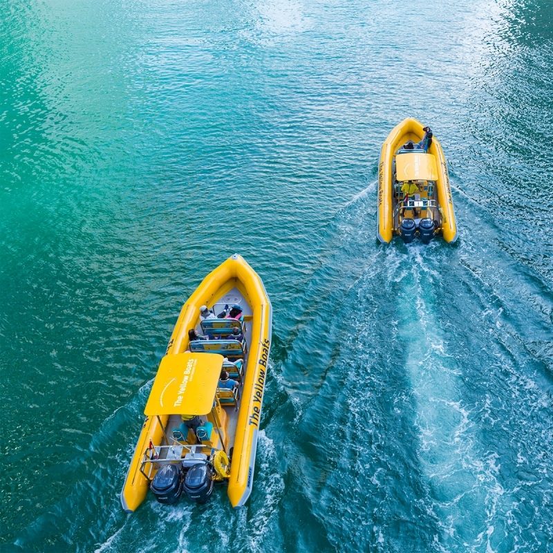 THE YELLOW BOATS