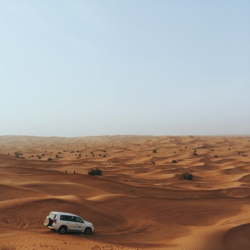 Safari dans le désert