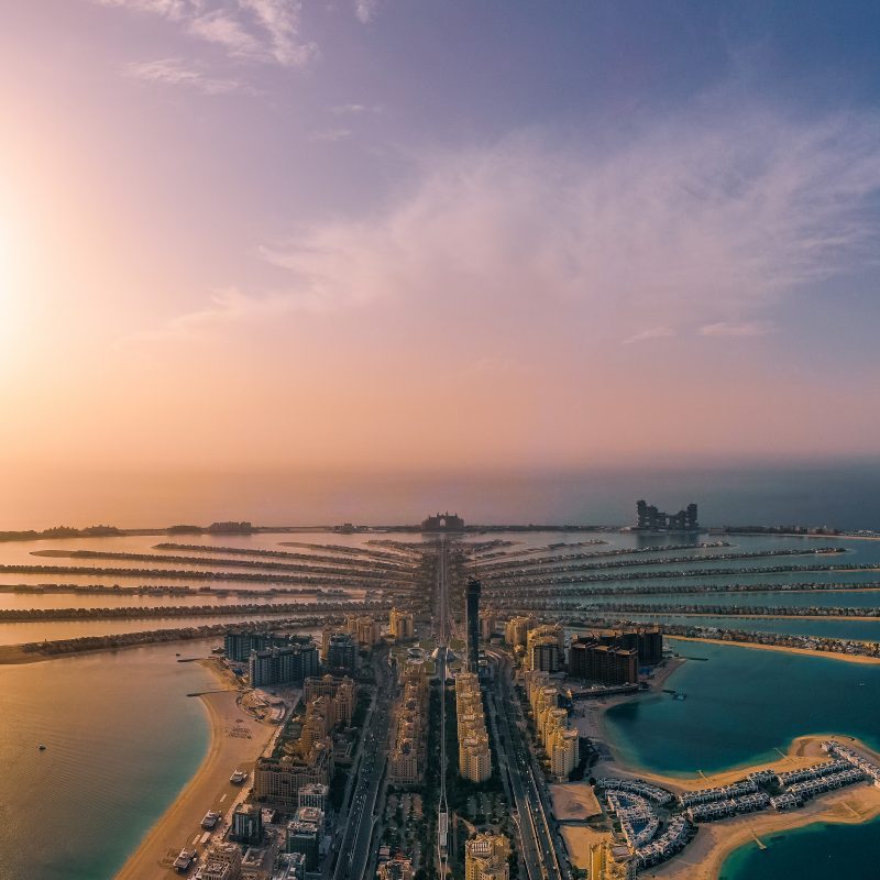 THE VIEW AT THE PALM